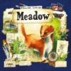 Meadow -Card Game Store image 60610.1649701921