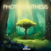 Photosynthesis -Card Game Store pic3364832 92781.1649702000